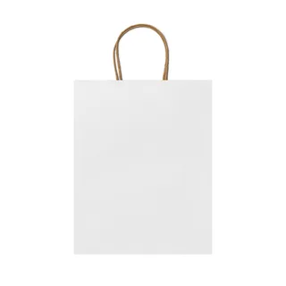 BO7538 - Bolsa ARCE