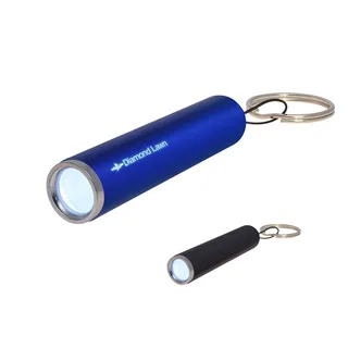 1533 - Ray Light Up LED Flashlight