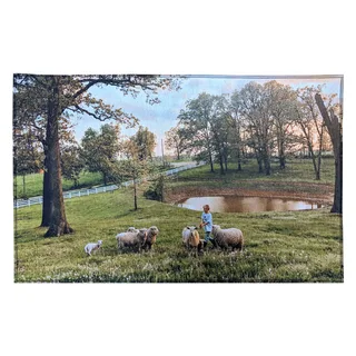 10078 - 20" X 31" Indoor Rug