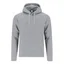21955GRIS