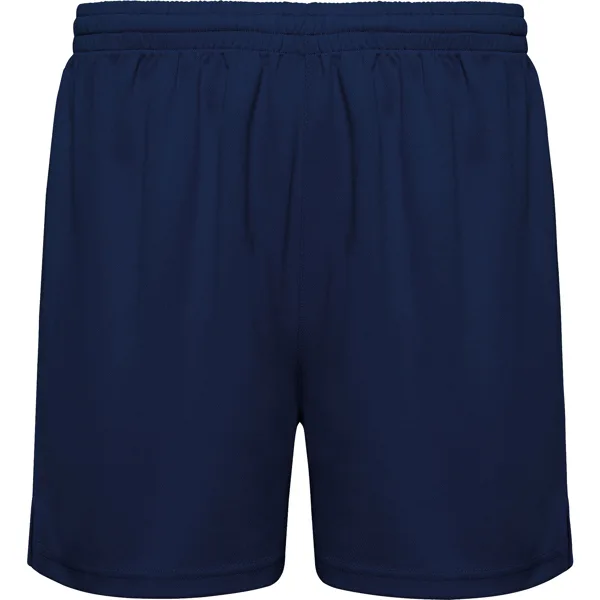 PA04532255